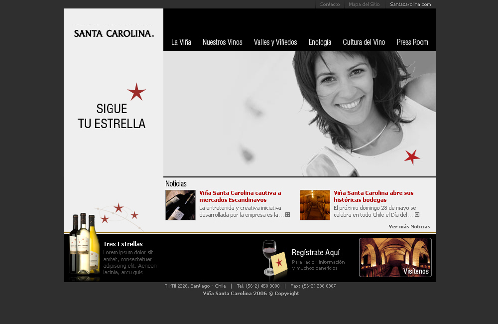 sitiosweb_sta_carolina_02